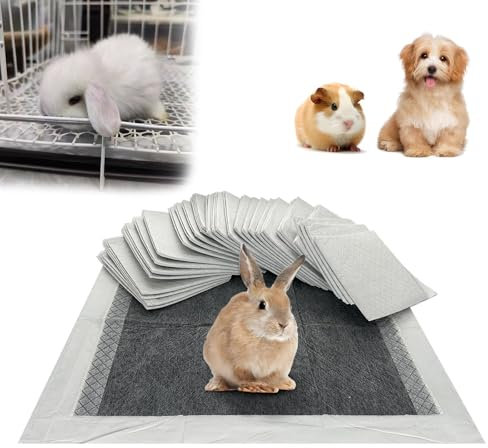 PeSandy PIPI Matten für Kaninchen, Hygienematte für Meerschweinchen, 60 Stück Einweg-Käfigeinlagen mit Super Saugfähig & Geruchshemmend für Welpen Katzen Chinchillas Hamster Frettchen Lgel (60x45cm)