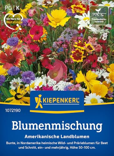 Kiepenkerl Blumensamen-Mischung Amerikanische Landblumen 1072190 - Wild- und Prärieblumen für Beet und Schnitt - ein- und mehrjährig - Wildblumensamen, Blumenwiese