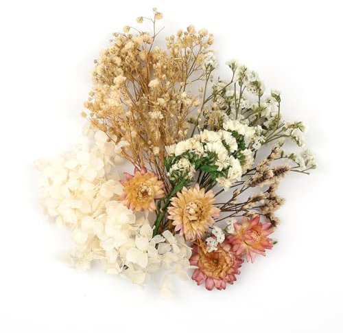 Trockenblumen Zum Basteln,Natürliche Getrocknete Blumen,Trockenblumen Klein,Getrocknete Blumen Deko für DIY Handwerk Epoxidharz Scrapbook Fotorahmen Karten Machen (Weiß)