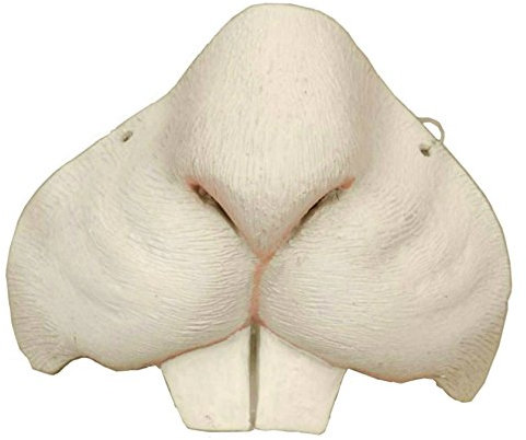 Nose - Mouse/Rat Accessory