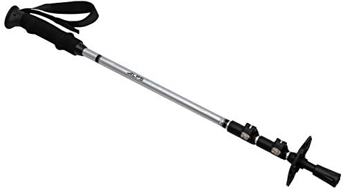 ALPS Mountaineering Journey Trekking Pole, Gray