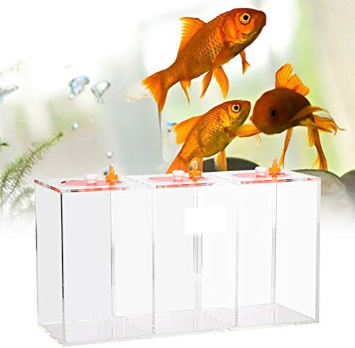 Aquarium Acryl Flüssigkeit Vorratsbehälter Aquarium Acryl Flüssigkeit Vorratsbehälter Trasparent Dosierpumpe Fass Titrationstank mit Waage