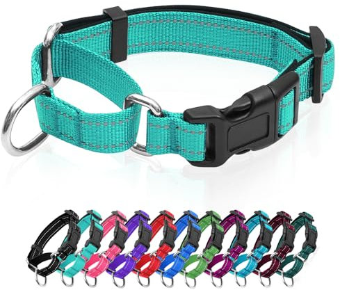 Reflektierende Martingale Hundehalsbänder Hundehalsband mit Schnellverschluss-Schnalle Verstellbares, weich gepolstertes atmungsaktives Nylon-Haustierhalsband geeignet für Welpen für kleine,