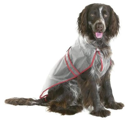 KARLIE Regenmantel CLASSIC für Hunde transparent in 8 Größen (von 30 - 60cm)