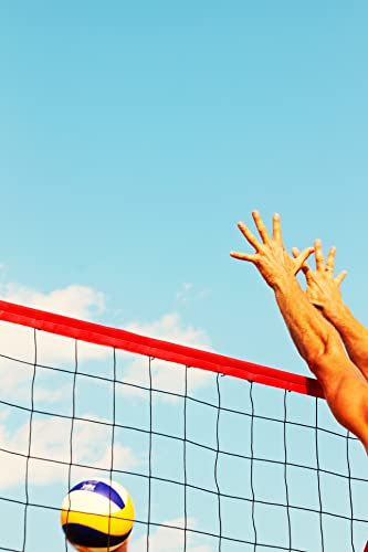 LA RETE Supermini Volley Pallavolo Volley mt.6,50x1