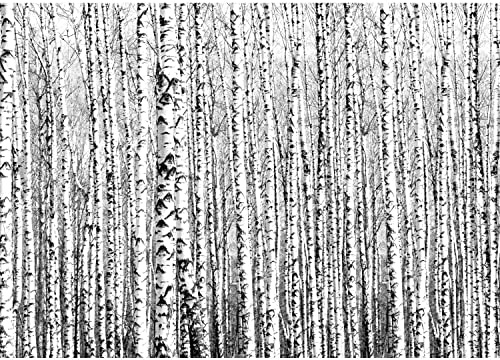 Runa Art Papier peint intissé 396 x 280 cm bouleau forêt | Toison Décoration Murale Salon Chambre á Coucherr | Fabrication Allemande | Noir et blanc 9288012a