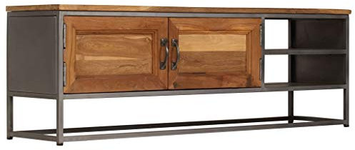 Festnight Meuble TV en Acier Meuble de télévision de Salon 120 x 30 x 40 cm avec 1 Armoire Design Vintage