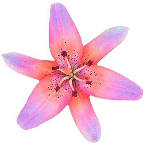 kleberio Selbstklebender Aufkleber Autoaufkleber Sticker wetterfest Blumen Mülltonne Blumenwiese Dekoration Fensterbild Fliesenaufkleber 20 x 20 cm - Lilie -