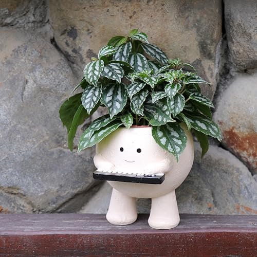 Niedliches Gesicht Pflanztöpfe für Pflanzen, Smiley Kinder Klavier Blumentöpfe Sukkulenten Übertopf Geschenk zum Muttertag