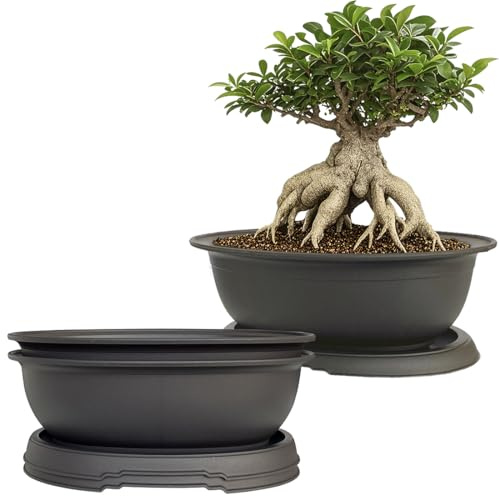 MUZHI 3 Pack Oval Bonsai Training Pot with Drainage Tray, Matte Finish Succulent Growing Pot for Home Garden Plant Outdoor Indoor Container (7.2 Medium)