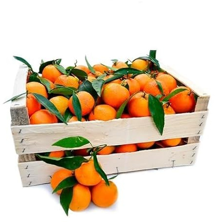 CLEMENTINEN - 9 KG PACKUNG - SÜß UND KERNLOS - Hergestellt in CORIGLIANO-ROSSANO in der Sibari-Ebene - FRISCHESPARENDE VERPACKUNG - Azienda Agricola L'Ideale