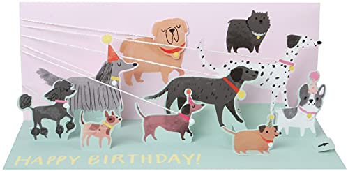 Pop Up 3D Panorama Karte Geburtstag Grußkarte Hunde Spaziergang 10x23cm