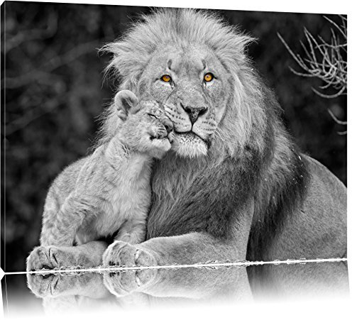 Pixxprint schöner Löwe mit Jungtier B&W, Größe: 60x40cm, Leinwandbild, fertig gespannt, Wandbild, Dekoration, Kunstdruck, kein Poster