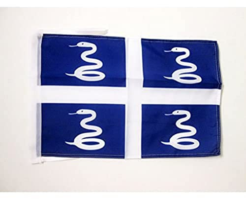 AZ FLAG - Drapeau Martinique - 45x30 cm - Pavillon Martiniquais - France 100% Polyester Avec Deux Cordelettes - 20g