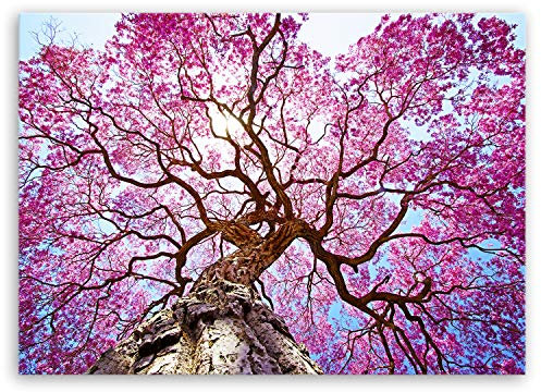 ge Bildet Bild auf Leinwand | Rosa Lapacho Baum in Pocone - Brasilien - Natur Baum Pink Lila B in 70x50 cm als Wandbild | Wand-deko Dekoration Wohnung modern Bilder | 2206