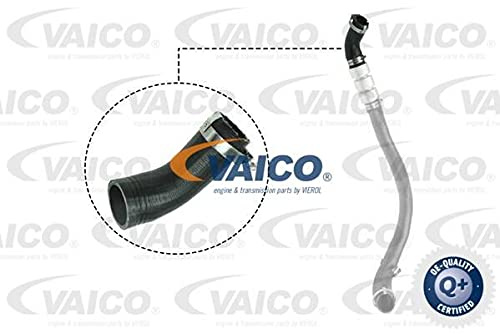 VAICO V25-1037 Ladeluftschlauch