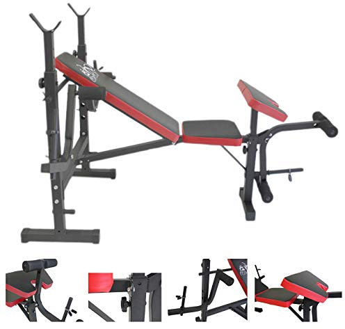 Panca Multifunzione Palestra Casa Addominali Pettorali Glutei Polpacci Dip Station Stazione FLMD758N