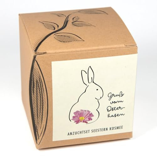 Blumige Ostergrüße - Geschenk-Anzuchtset Seestern Kosmee