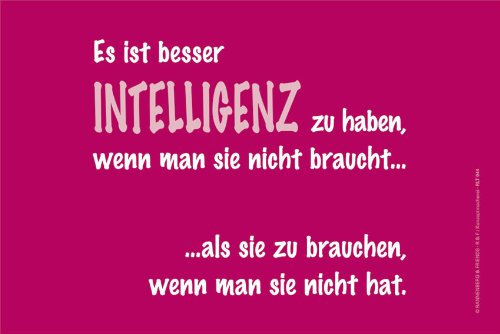 Rannenberg Putztuch aus Microfaser Laptoptuch Brillenputztuch - INTELLIGENZ -