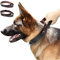 PET ARTIST Hundehalsband aus echtem Leder mit Griff, strapazierfähig für mittelgroße und große Hunde, Spaziergänge, Training, Boxer, Dobermann, Pitbull, Bulldogge