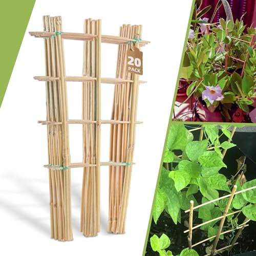 20 Pack 16 Bamboo Trellis for Climbing Plants-Natural Garden Ladder Trellis, Fan -Shaped Support Trellis for Potted Plant Decor in Door