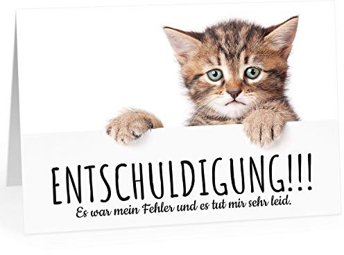 Große XXL (A4) Klappkarte mit Umschlag/Süße Katze - Es war mein Fehler/Sorry/Entschuldigung/Verzeih mir/Entschuldigen