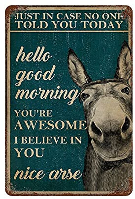 Larkverk Just in Case No One Told You Today Hello Good Morning You're Awesome I Believe in You Nice Arse Retro-Blechschild Vintage Metallschild für Zuhause, Bar, Büro, Wanddekoration, Schild, 12 x