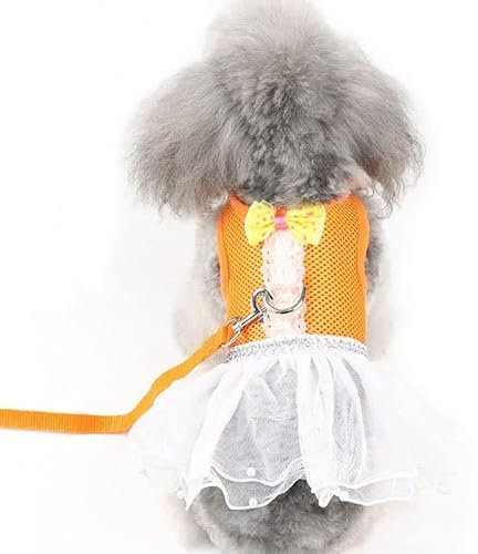 YANYUESHOP Hundegeschirr für Mädchen, Leinen-Set, Netzweste, gepolstertes Hundekleid, Geschirr für kleine Hunde, Katze, Kaninchen, Spitze, Perlen, Tüll, Tutu-Rock mit Schleifen