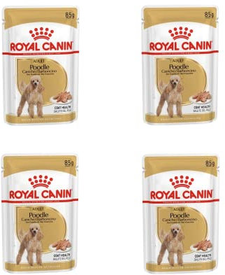 Royal Canin Poodle Adult | 4er Pack | 4 x 12 x 85 g | Nassfutter für ausgewachsene Pudel | Zur Unterstützung des Fells | Optimale tägliche Ernährung | Ab dem 10. Lebensmonat
