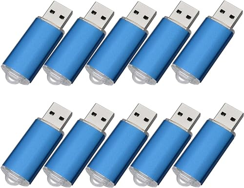 Fenglangrong Lot de 10 clés USB 2.0 de 64 Go - Bleu