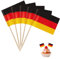 Catelves 100 Stück Deutschland Flagge,Deutschland Zahnstocher Holz,Deutschland Deko Party Spieße Fingerfood,Zahnstocher mit Fähnchen für Cake Obst Cocktail Zubehör