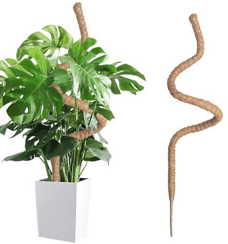 Wigearss Moosstab für Monstera, Kokosfaser Rankhilfe, Pflanzstab Kokos, Pflanzenstütze für Kletterpflanzen, 160cm