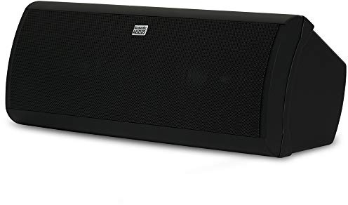 Acoustic Audio by Goldwood Acoustic Audio AA40CB Indoor Center 3 Way Speaker 500 Watts Black Bookshelf, 4-Inch