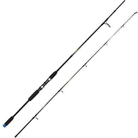 Dieter Eisele Angelrute Meeresrute - Twitch N Pilk Pilkrute 2,30m 50-200g