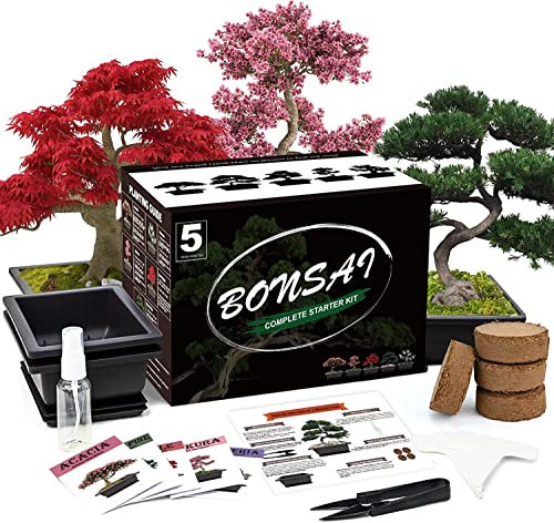 Meekear 5 Bonsai-Baum-Set, komplettes Pflanzenzuchtwerkzeug, Grow in Pot Indoor Bonsai-Baum-Starter-Set, tolles Heimgarten-Topfpflanzen, DIY-Geschenk für Erwachsene