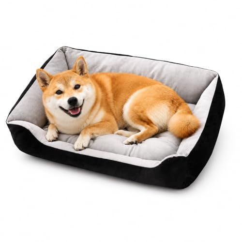 KANDONEX Hundebett 70 x 50 cm Memory Foam Hundekissen weich bequem Haustierbett mit Knochen Design für kleine mittelgroße Hunde Katzen Sofa Indoor gemütlich Schwarz (Schwarz, 70 x 50 cm)
