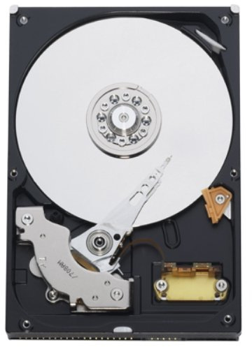 Western Digital WD800BB-KIT 80 GB 8.9 cm (3.5) Internal Hard Drive Caviar Blue 7200rpm 2MB PATA