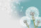 Wesmilewallpaper Papier Peint Panoramique Tapisserie Murales Fleur De Pissenlit Blanc 400x280cm Intissé Soie Poster Geant Mural Salon Chambre