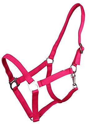 Nylonhalfter, Halfter Mini-Shetty o Fohlen pink/fuchsia