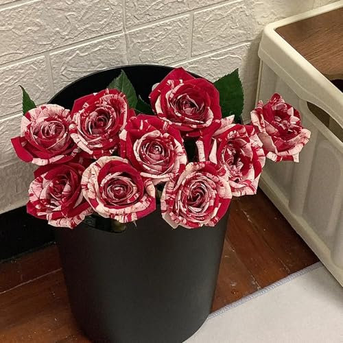 300 pcs Rosensamen frühlingsblumen, winterharte kübelpflanzen Rosensamen Zum Pflanzen schattenpflanzen winterharte kübelpflanzen blumensamen, garten bio saatgut, samen geschenk bloom
