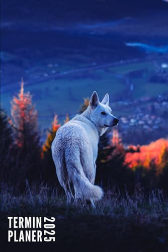 Terminplaner 2025: Wolf - Taschenkalender | 12 Monate | Wochenplaner, Terminkalender von Januar bis Dezember 2025 Ideal für Studenten, Berufstätige ... | Monatsplaner, Kontaktliste, Notizen