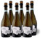 Terra Organica Prosecco D.O.C. 10.5% ABV, 6 x 75cl - Italian Light and Extra Dry Sparkling Organic Prosecco - Award Winning Prosecco - Produced by Family Run Winery - Great Prosecco Gift Set