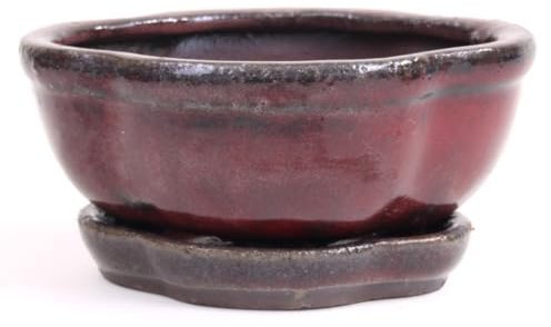 Bonsai-Shopping Schale oval, 16 x 13 6,5 cm, Bordeaux-schwarz, mit Untersetzer 23998