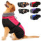 Wasserdichter Hundemantel Winter Warme Hundejacke, Hundebekleidung Outfit für kleine mittel große Hunde, Hundepullover mit Sicheren Reflexstreifen für Labrador Chihuahua Französische Bulldogge