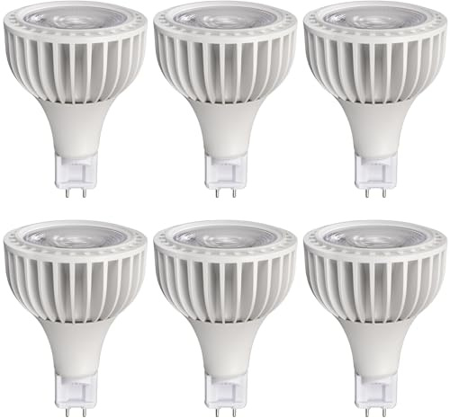 TPMAFF LED PAR30-Glühbirne, G12-Sockel, PAR30-Strahler, 40 Watt, 4000 Lumen (200 Watt äquivalent), 36° Abstrahlwinkel, PAR30-Lichtquelle, langer Hals, 85–265 V AC, nicht dimmbar (6 Stück)