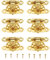 6 Pcs Box Buckle Latch Clasps with Screws Cabinet Hasp for Jewelry Wooden Box Case Decorative Hasp Latch Buckle, Gold, 35 x 25mm