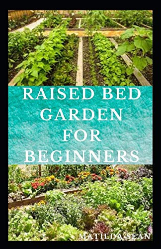 RAISED BED GARDEN FOR BEGINNERS: Step by steps guides on how to start Raised bed garden for starters