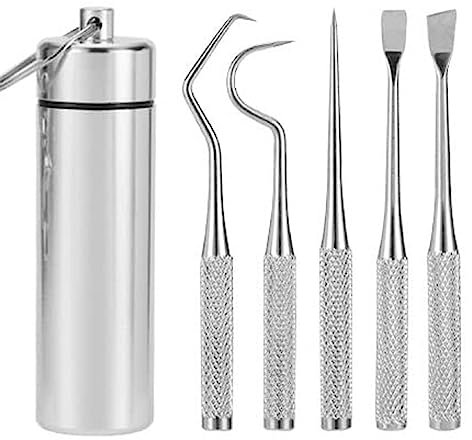 Bafnsiji Juego de Cartuchos de palillo de Dientes de Acero Inoxidable, Limpiador de eliminación de sarro del raspador de Dientes de 5 Piezas, Palillos de Dientes de Metal Reutilizables