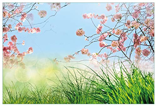 Wallario Küchenrückwand selbstklebend 90 x 60 cm, Motiv: Kirschblütenzweige und grüne Wiese- Frühling | Spritzschutz abwischbar & pflegeleicht