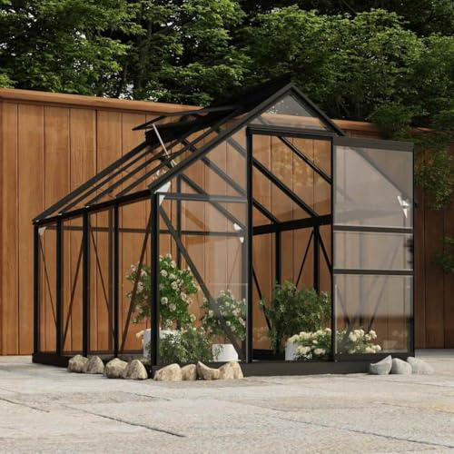 Ziaphsol Jeu de 16 Panneaux de Verre trempé pour Serre Jardin horticole abri de Culture Potager Fleurs Protection Contre Gel Pluie Vent Croissance Germination